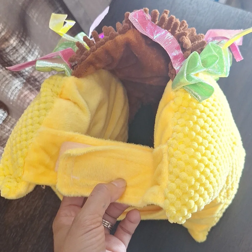 Taco Pet Costume